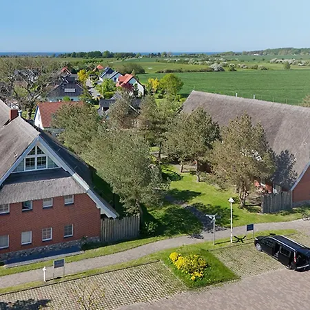 Am Gutspark Drankse Sonnenhut * 드란스케