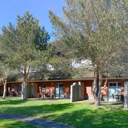 Am Gutspark Drankse Sonnenhut * 드란스케