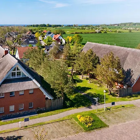 Am Gutspark Drankse Sonnenhut *