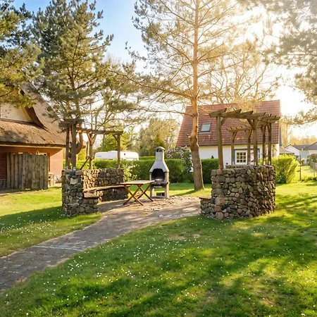 Am Gutspark Drankse Sonnenhut